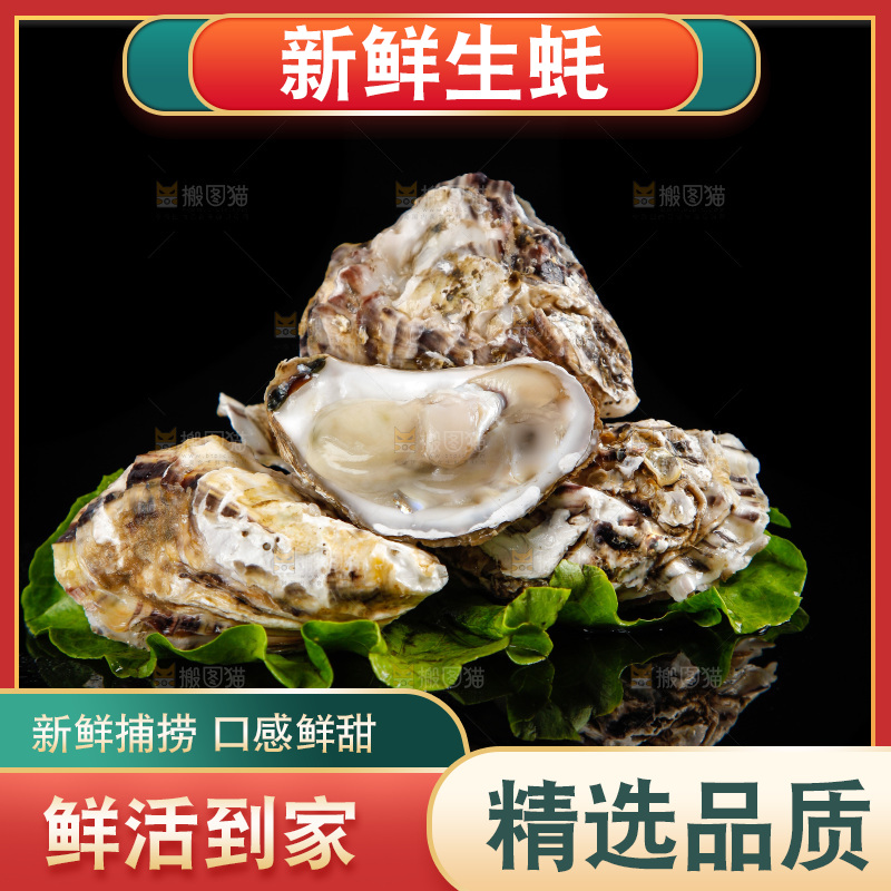 黑底上放着生蚝