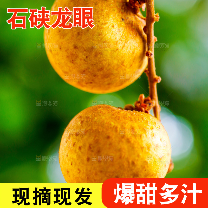 浅底上的泰国龙眼