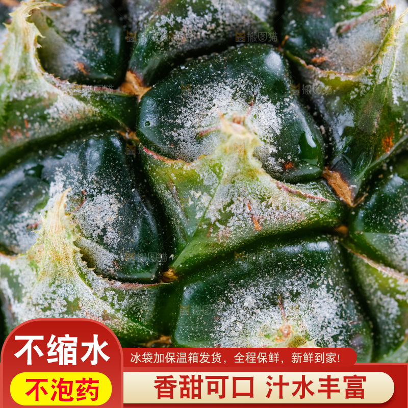 白底上的菠萝