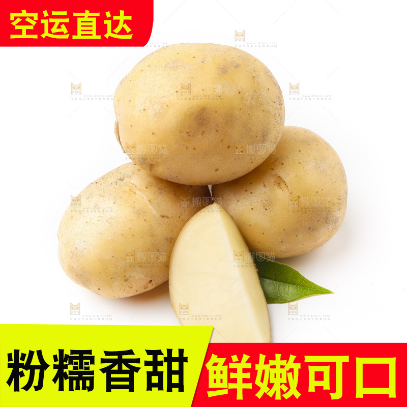 新鲜土豆放在白底上