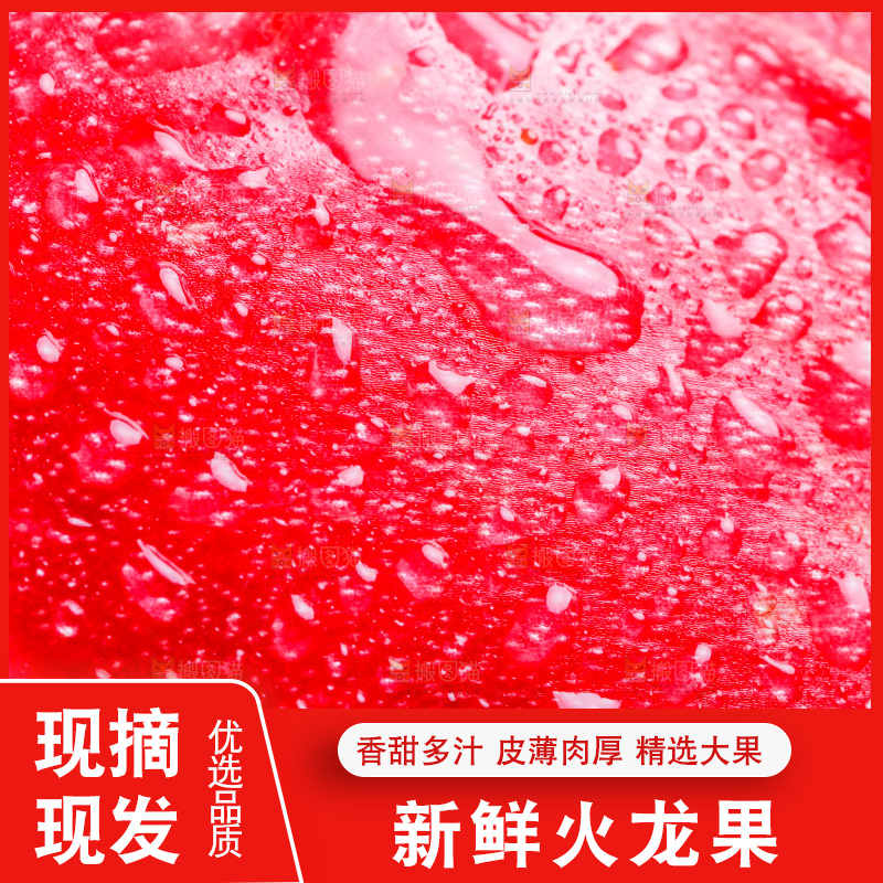 白底上的火龙果