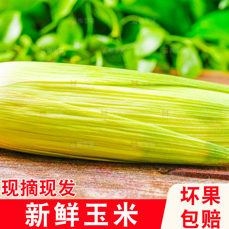 木底上的新鲜玉米