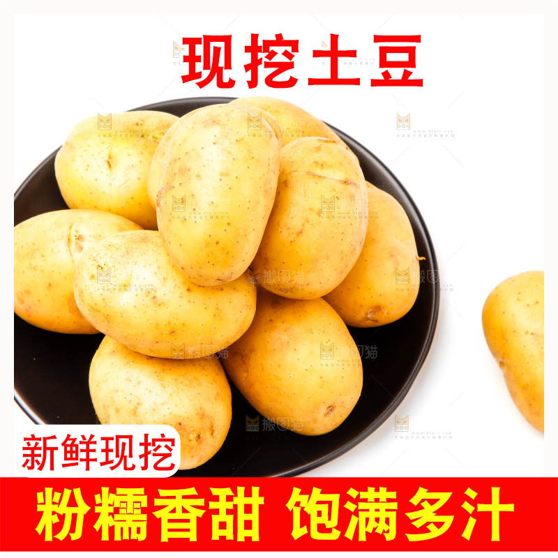 一盘新鲜土豆放在白底上