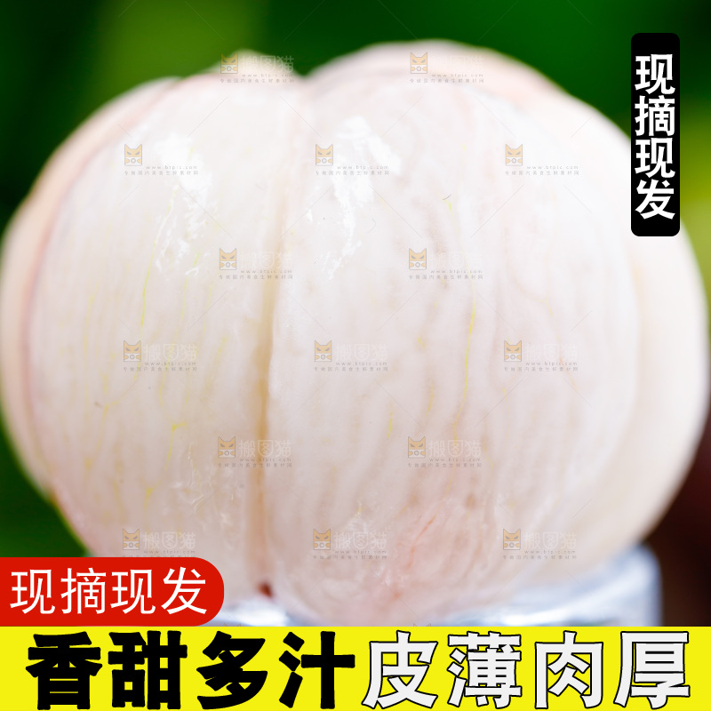 木底上的新鲜山竹