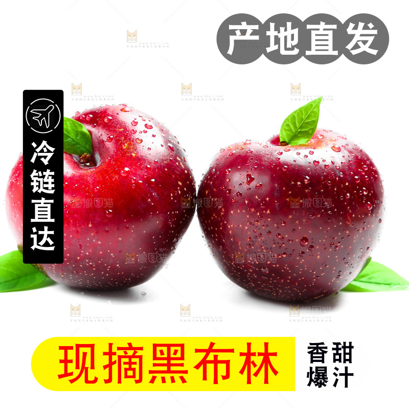 陕西黑布林放在白底上