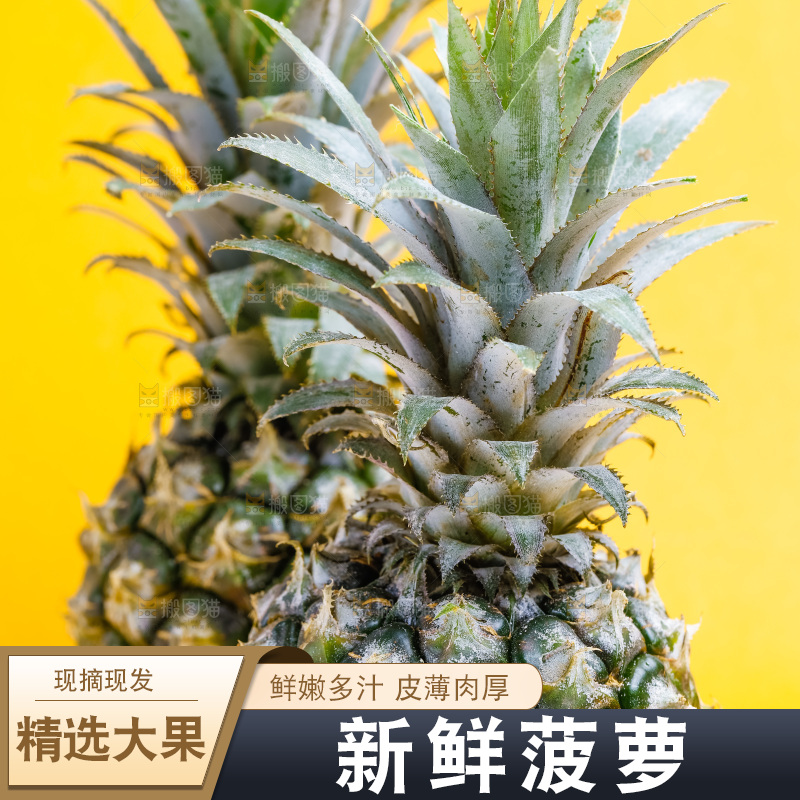 浅底上放着云南香水小菠萝