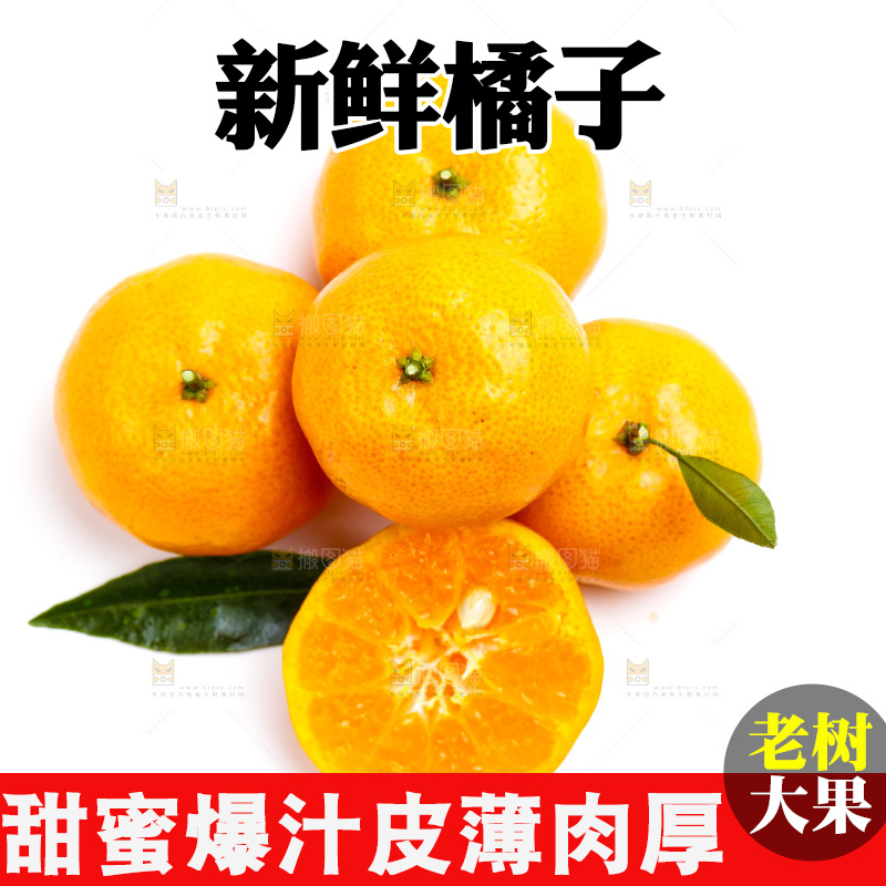 新鲜橘子放在白底上