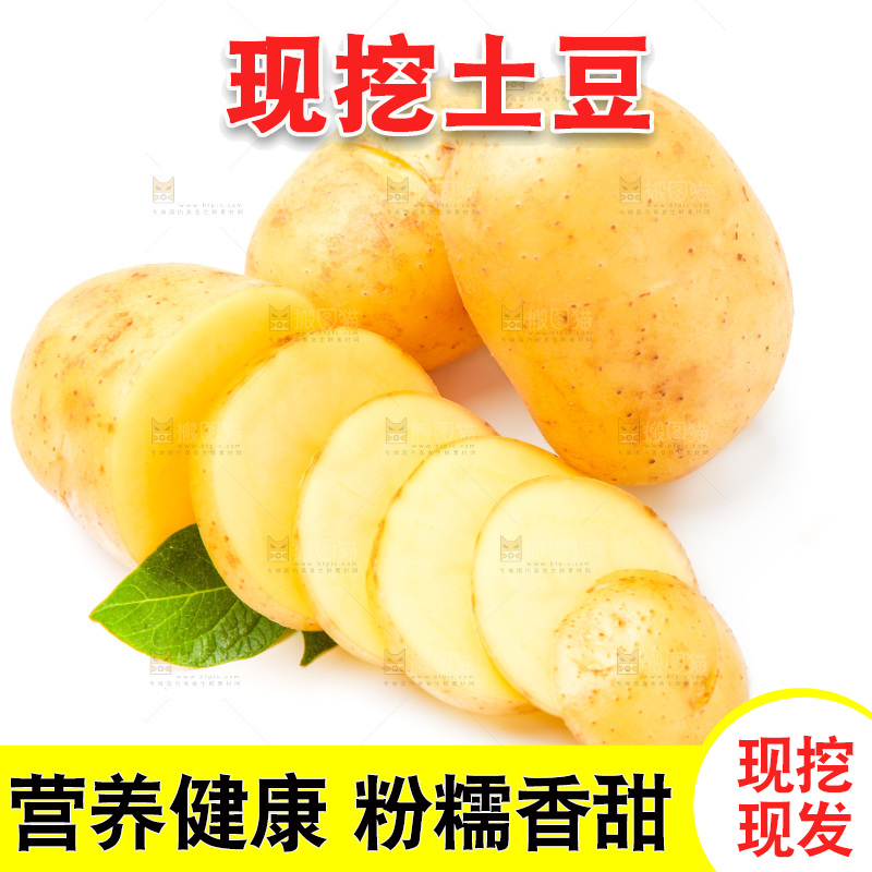 新鲜土豆放在白底上