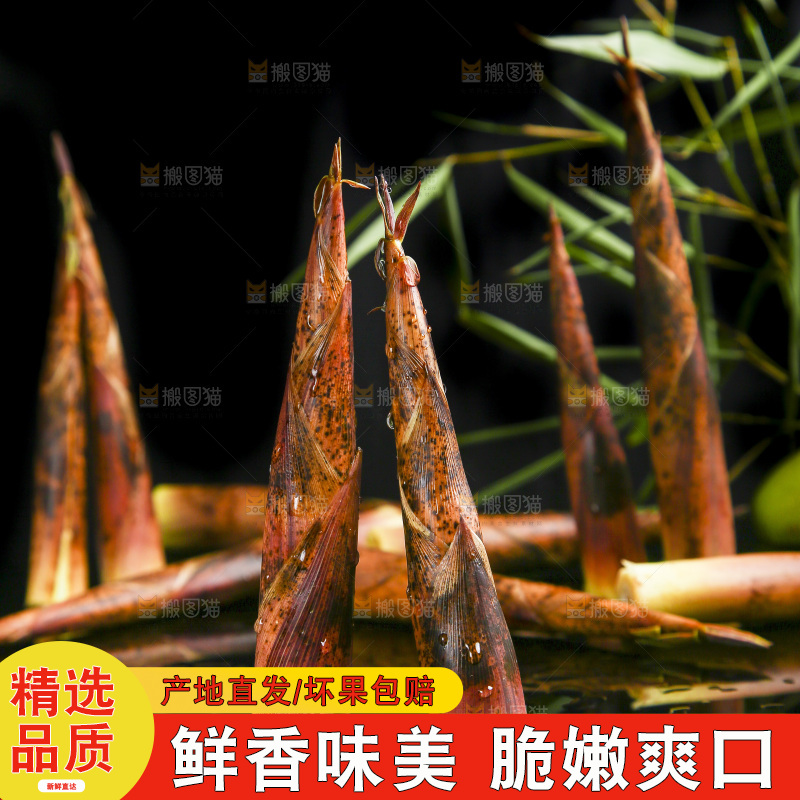 深底上的春笋