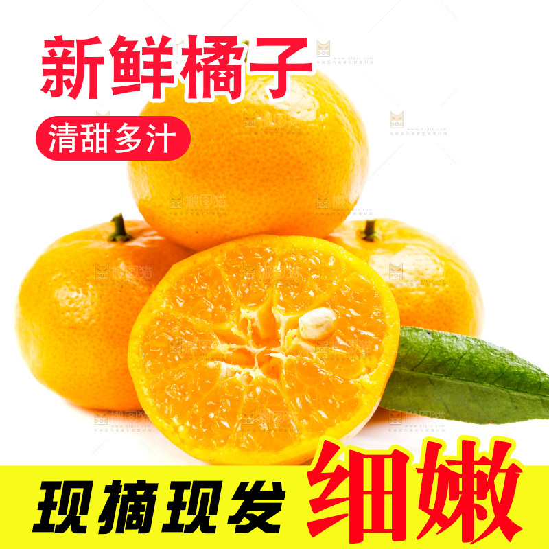 新鲜橘子放在白底上