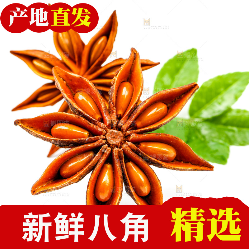 广西八角放在白底上