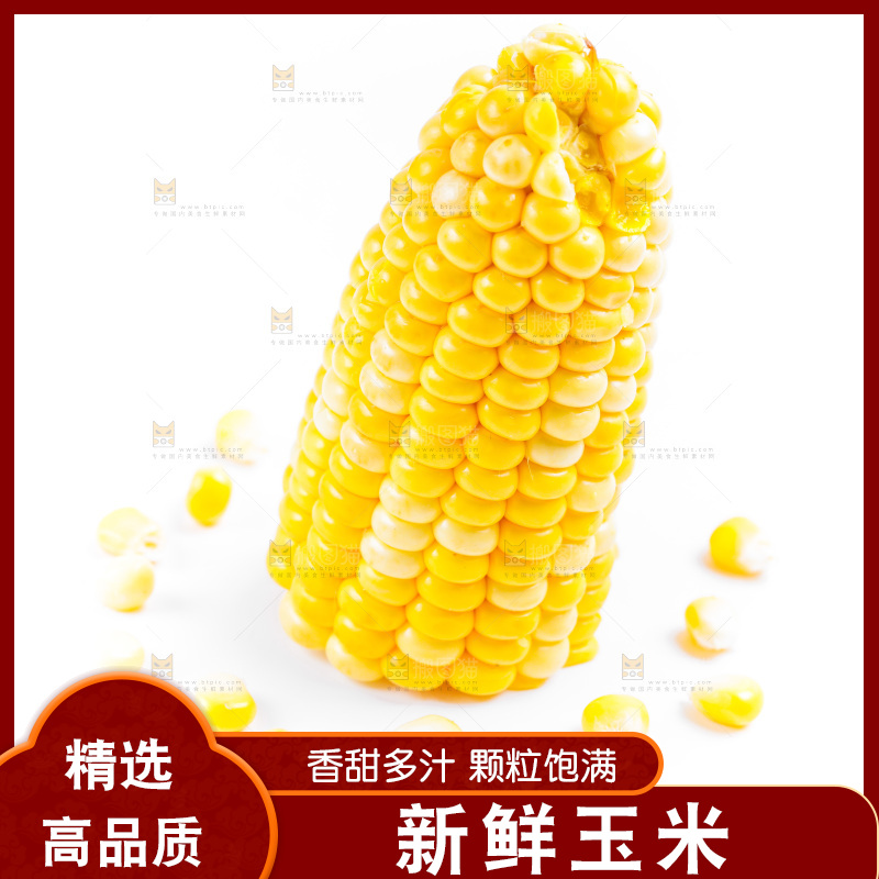 白底上的甜玉米