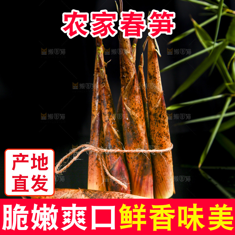 黑底上的春笋