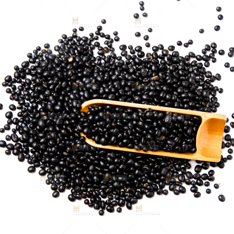 新鲜黑豆放在白底上