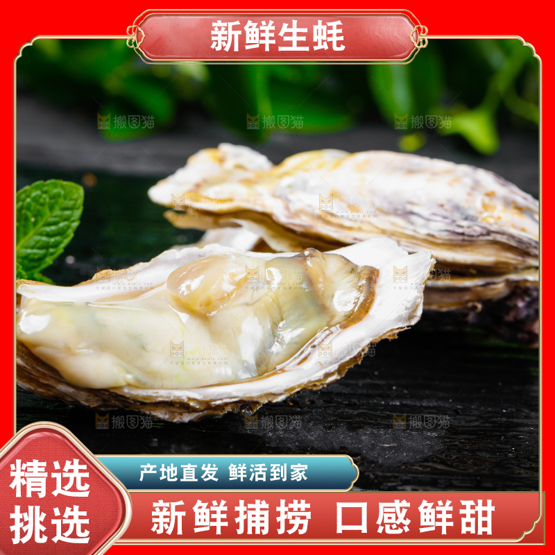 黑底上放着海蛎子