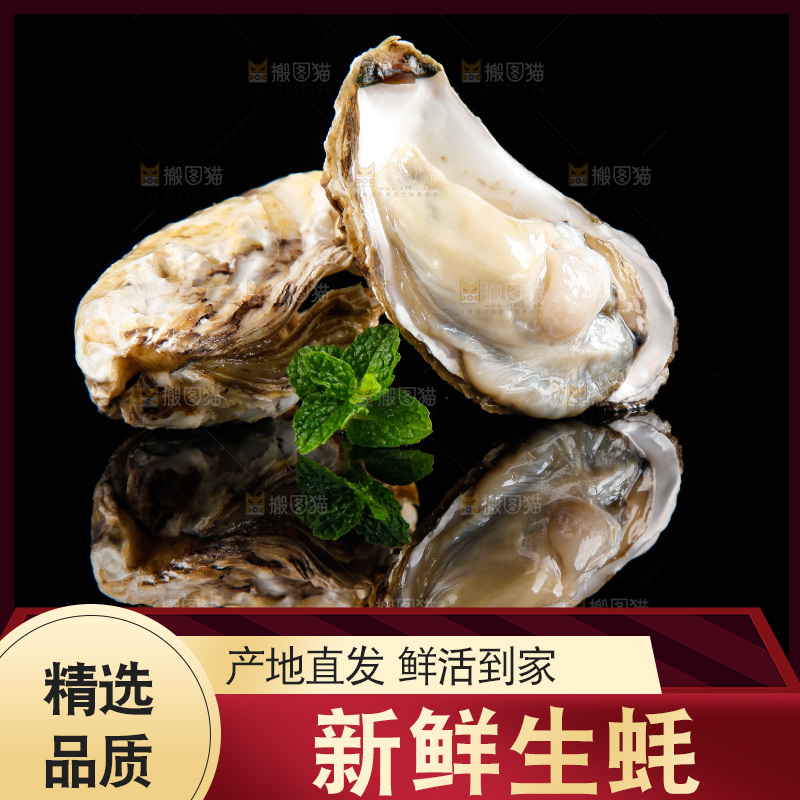 黑底上放着海蛎子