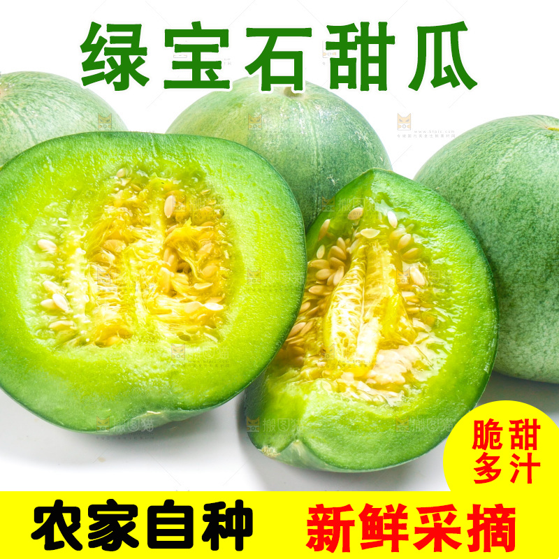 山东绿宝甜瓜放在白底上