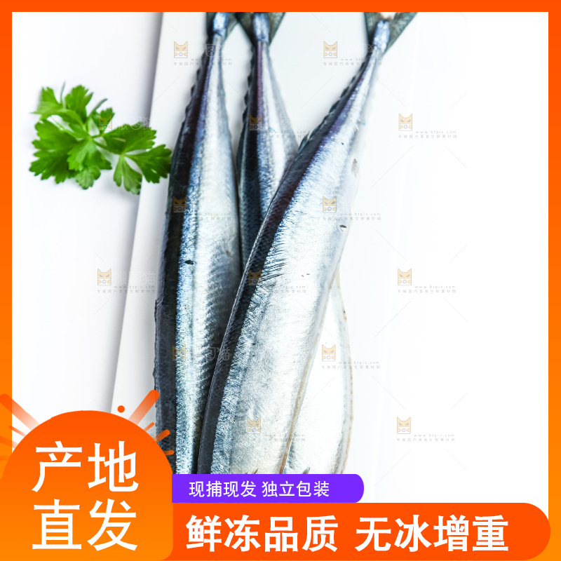 白底上放着一盘秋刀鱼