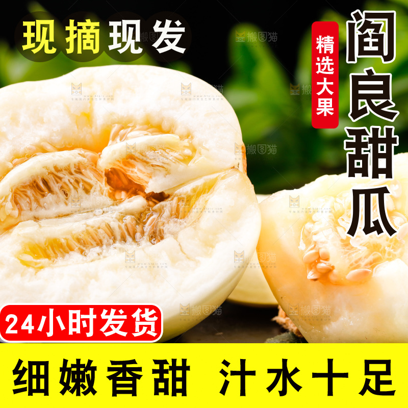 木底上的阎良甜瓜
