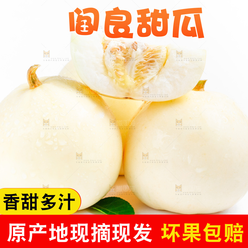新鲜阎良甜瓜放在白底上