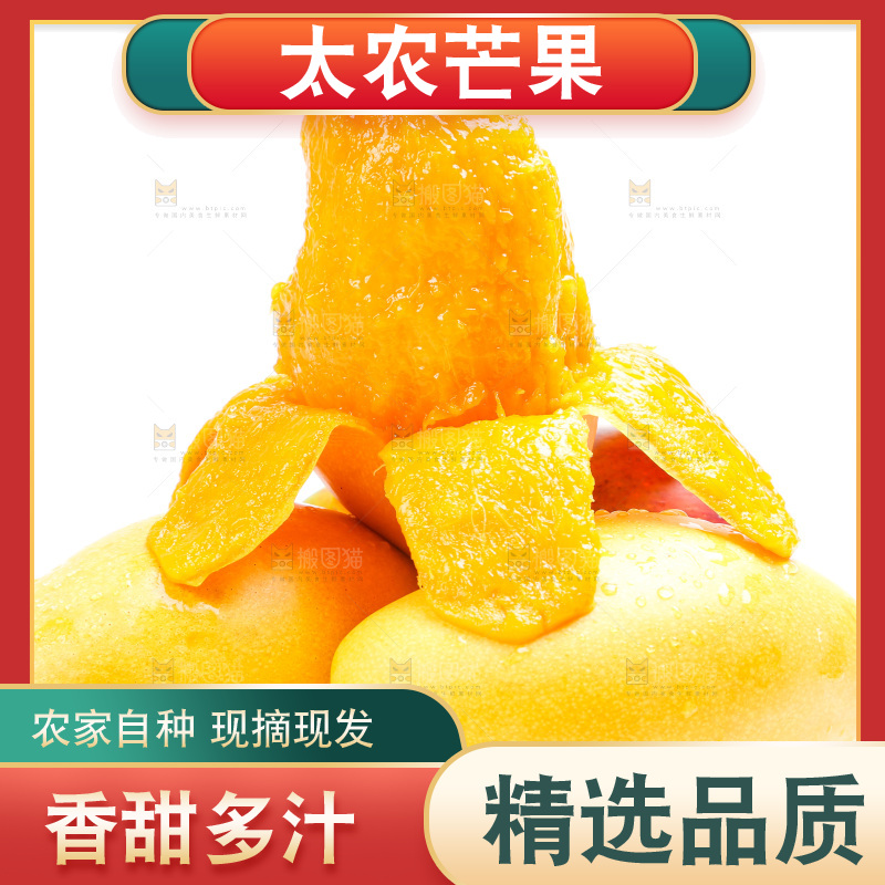 新鲜台芒放在白底上