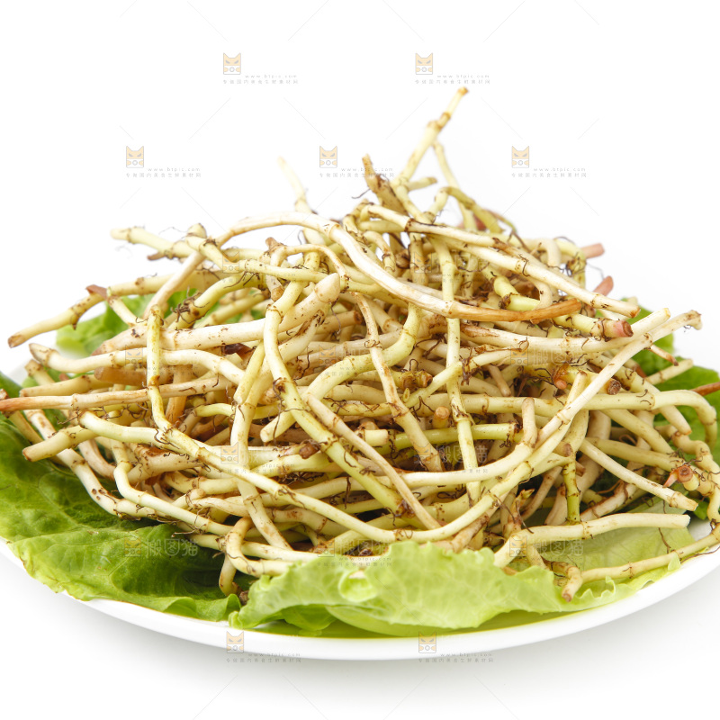 一盘凉拌鱼腥草放在白底上