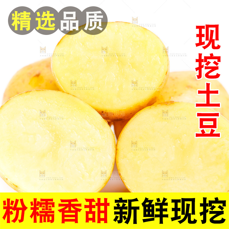 白底上的土豆