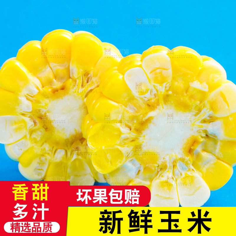 蓝底上放着云南水果甜玉米