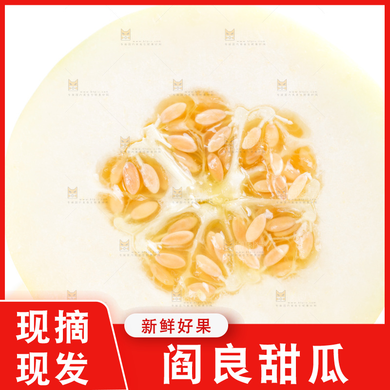 新鲜阎良甜瓜放在白底上