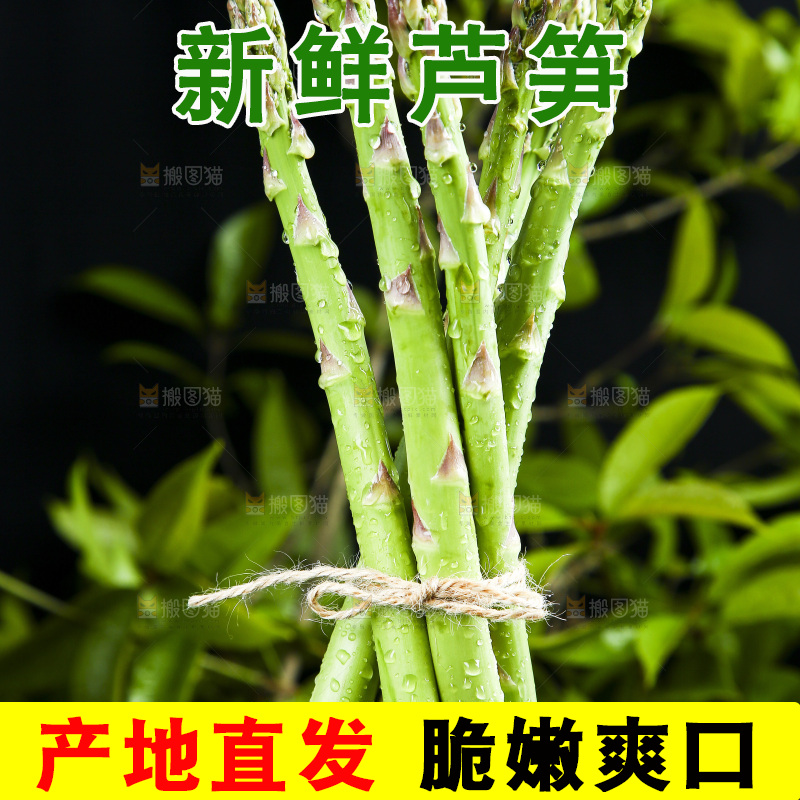 黑底上的青芦笋