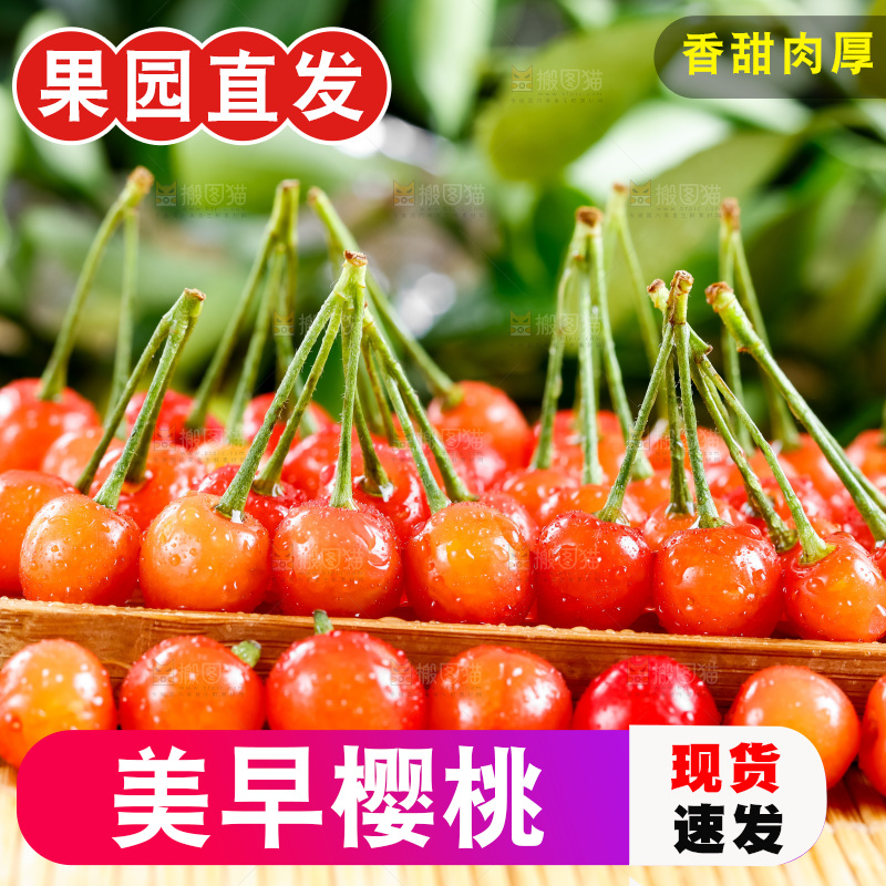 木底上放着烟台水晶黄樱桃