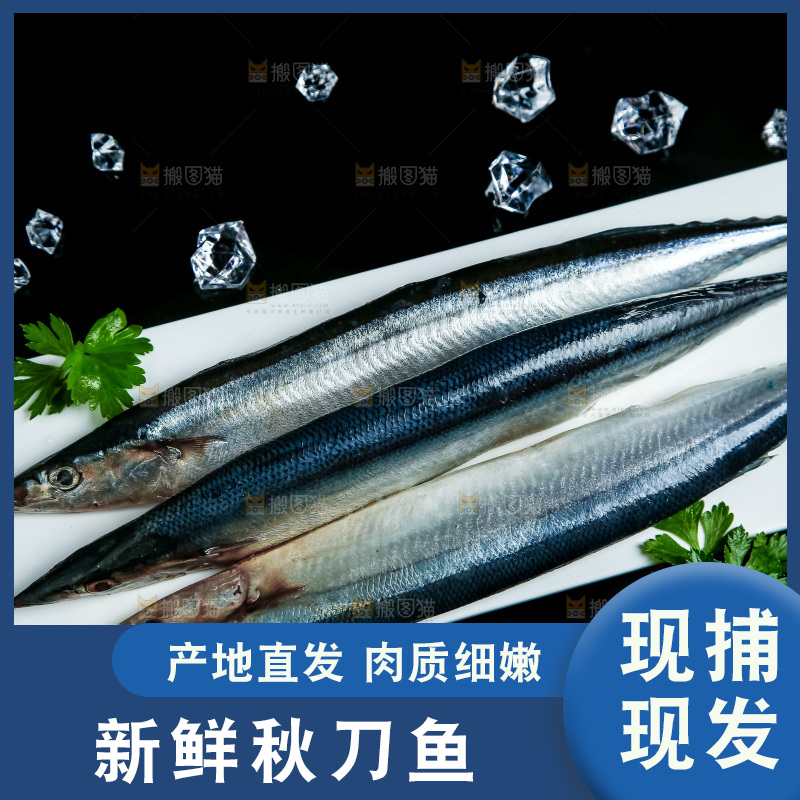 黑底上放着一盘秋刀鱼
