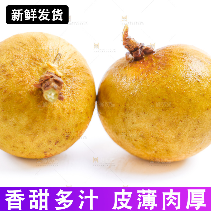 新鲜龙眼放在白底上