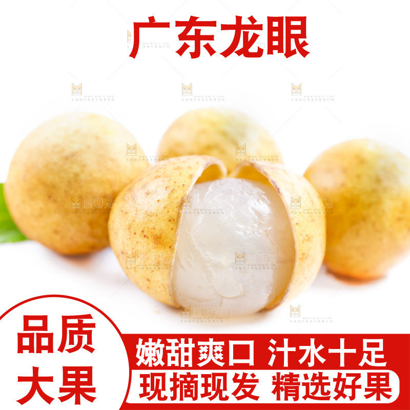 新鲜龙眼放在白底上