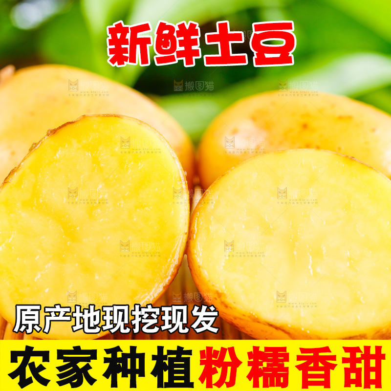 木底上的土豆