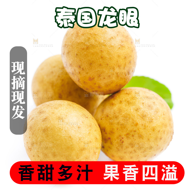 白底上的龙眼