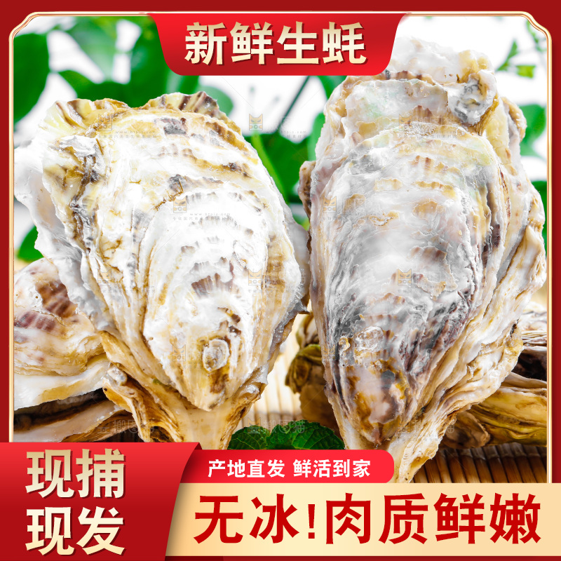 木底上放着海蛎子
