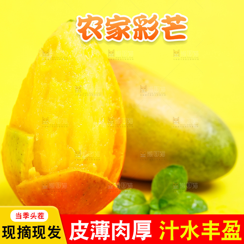 浅底上的彩芒