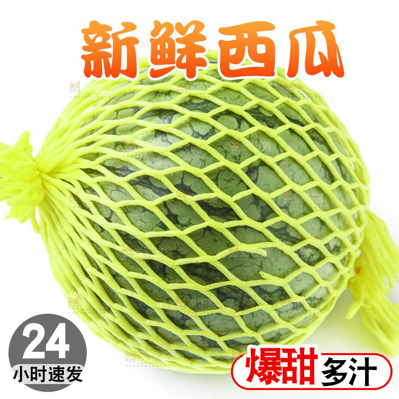 白底上的西瓜
