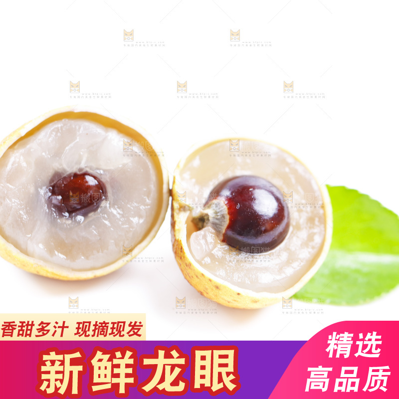 白底上的龙眼