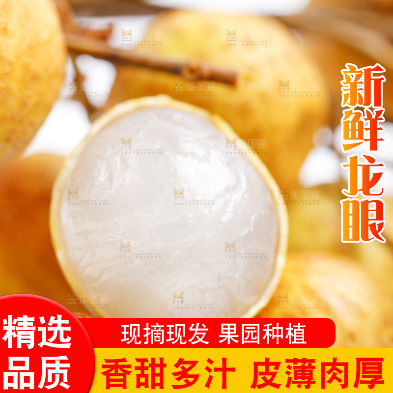 白底上的龙眼