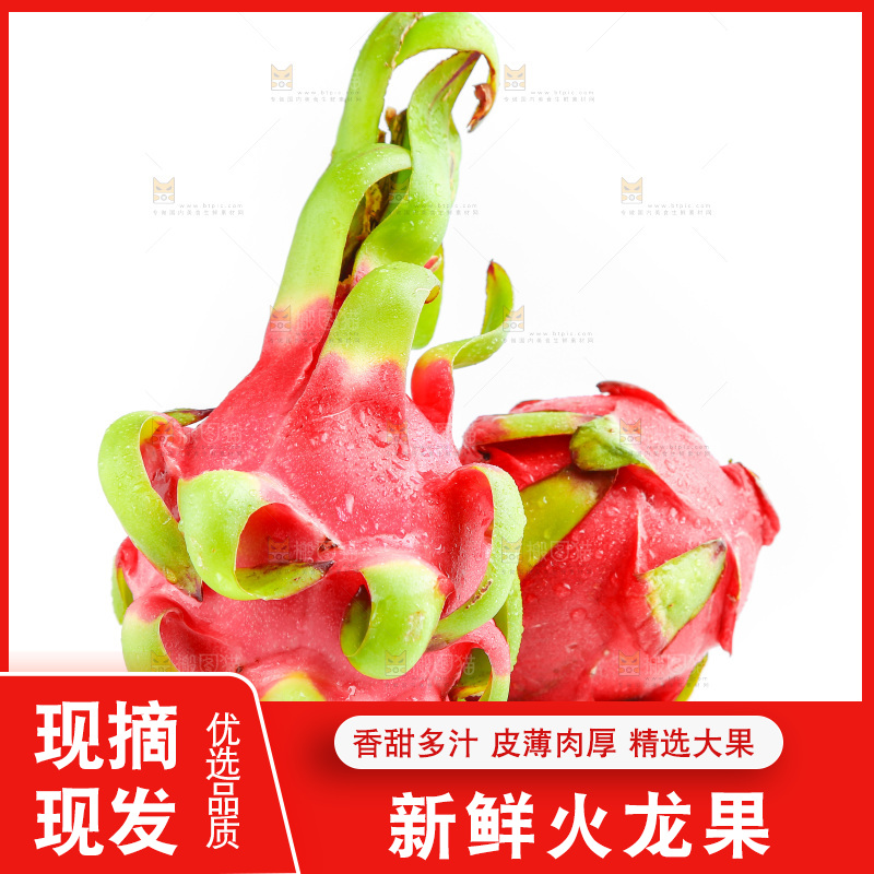 白底上的火龙果