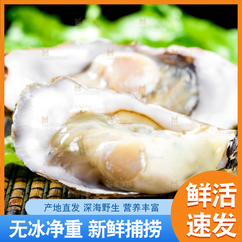 木底上放着生蚝