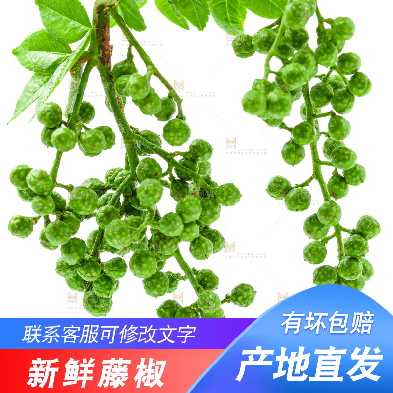 白底上的新鲜藤椒