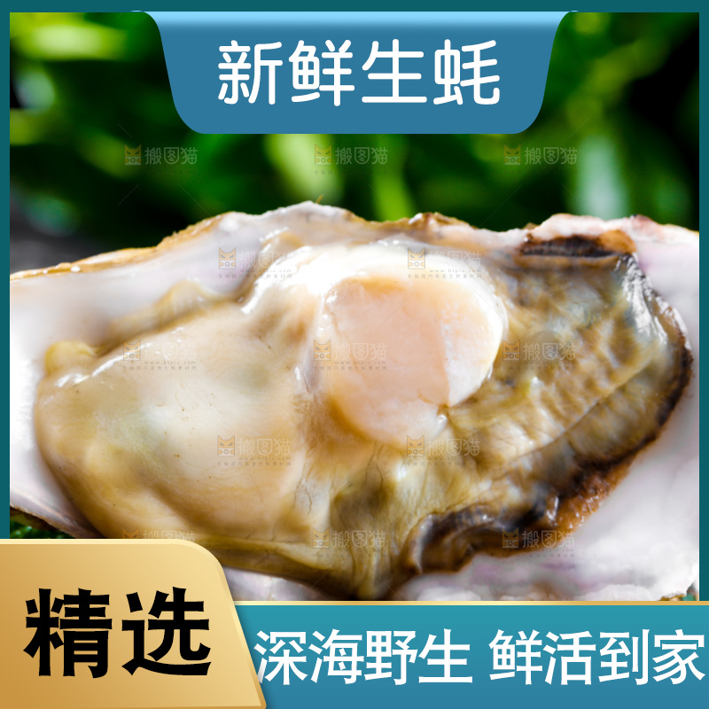 木底上放着生蚝