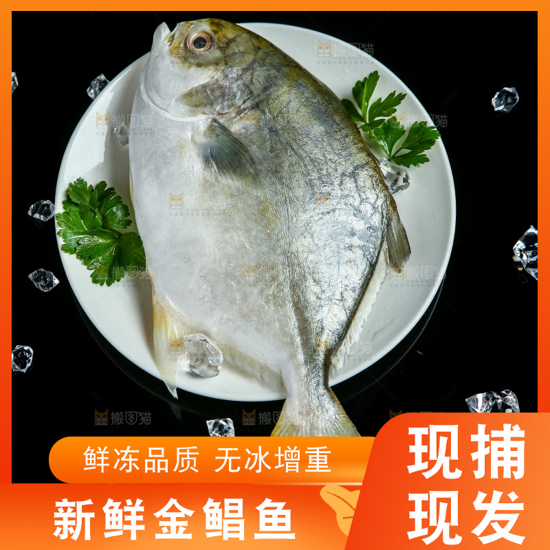 黑底上放着一盘金鲳鱼