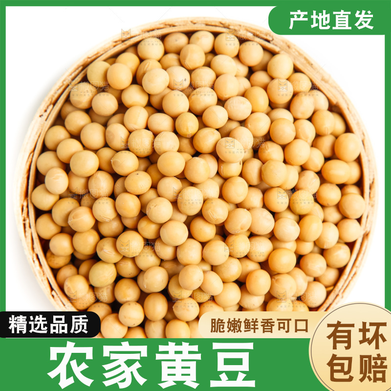 一碗黄豆放在白底上