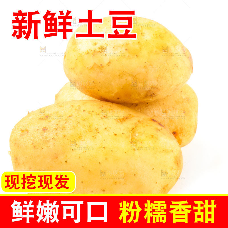 白底上的新鲜土豆