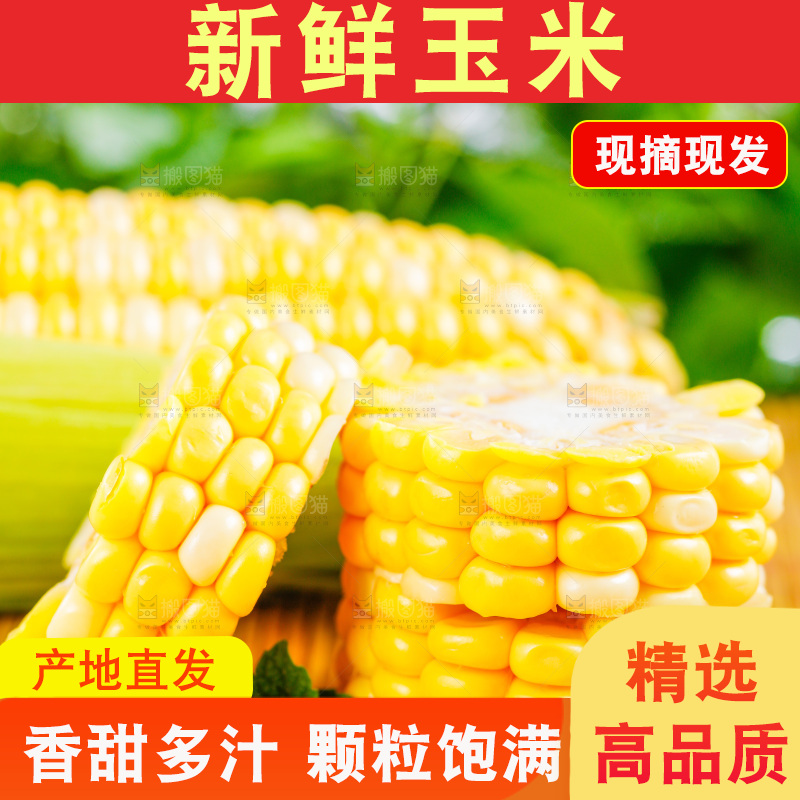 浅底上的水果玉米