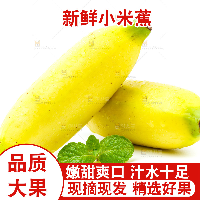 白底上放着新鲜小米蕉